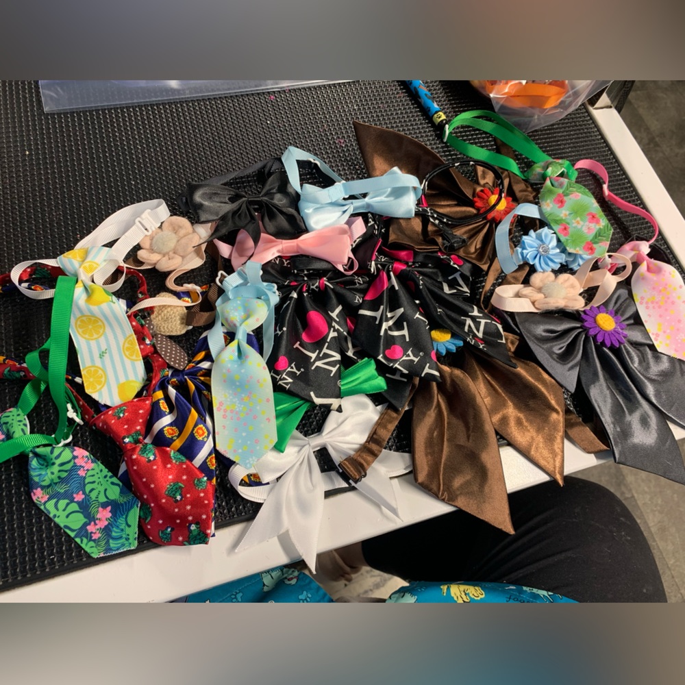Mixed lot of 21 bows